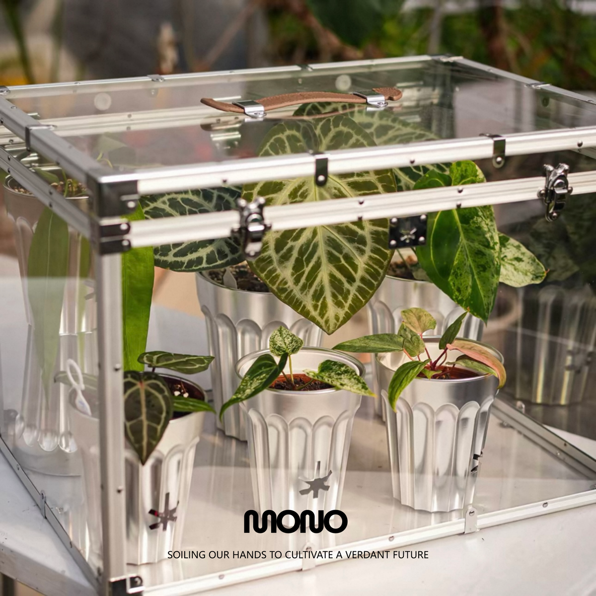 Greenhouse