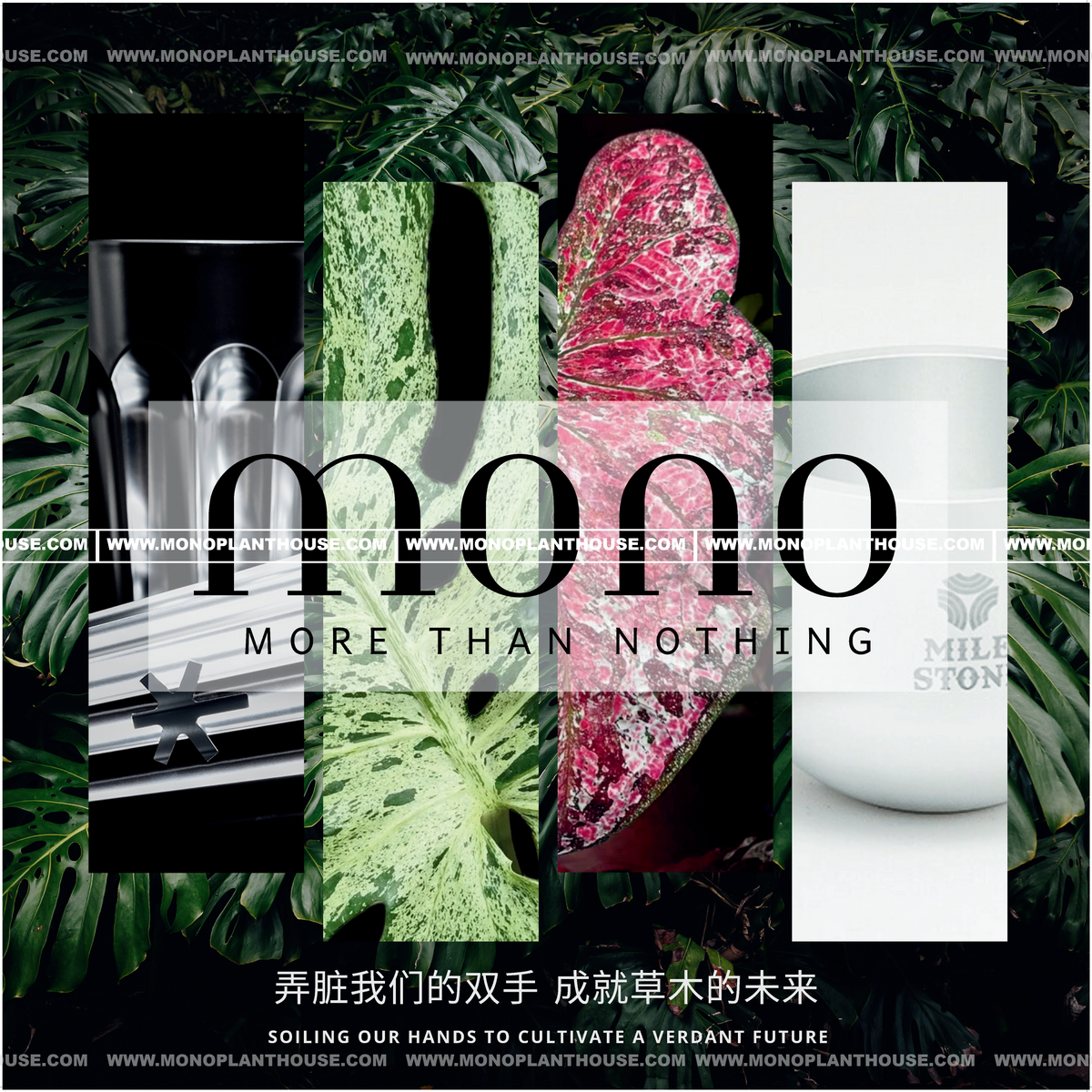Mono