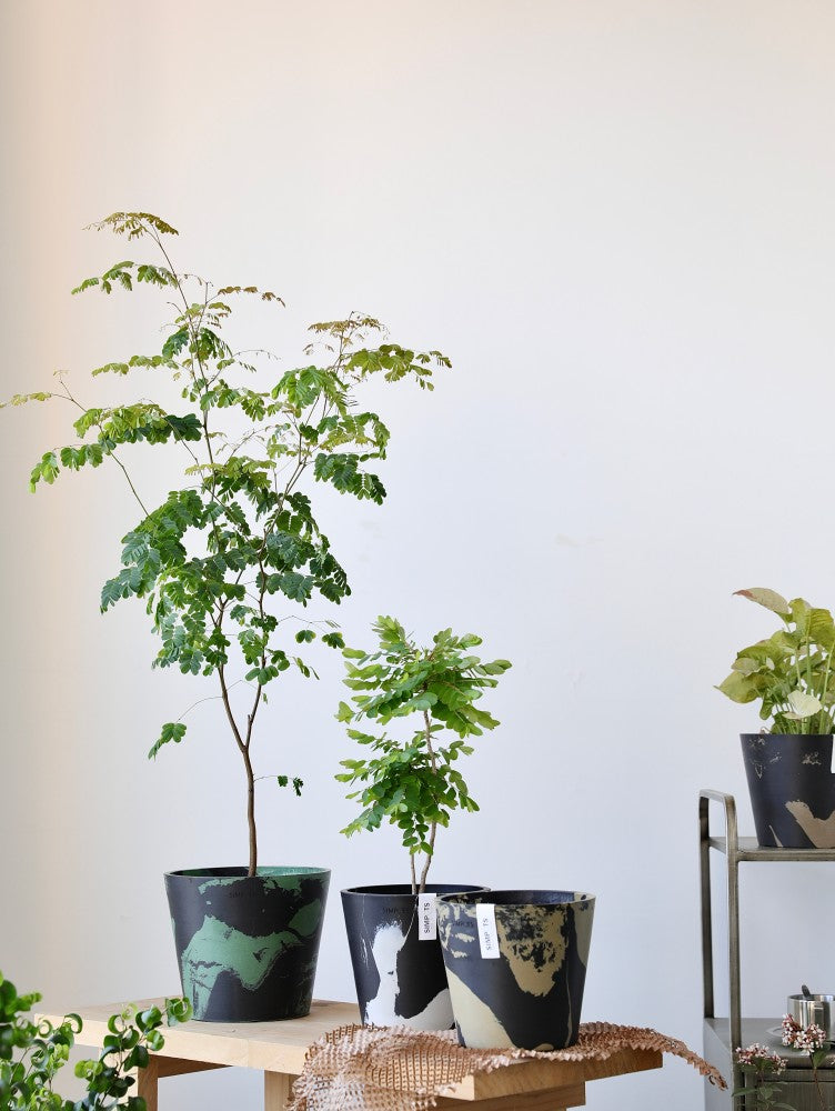 [Simpots] Classic Round Planter 【Limited Fire-fox Bicolor】