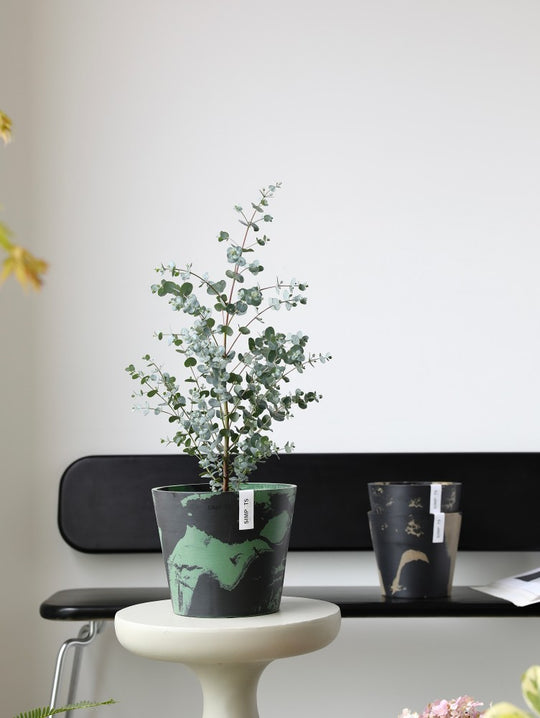 [Simpots] Classic Round Planter 【Limited Fire-fox Bicolor】