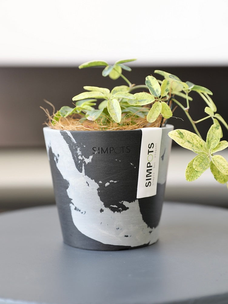 [Simpots] Classic Round Planter 【Limited Fire-fox Bicolor】
