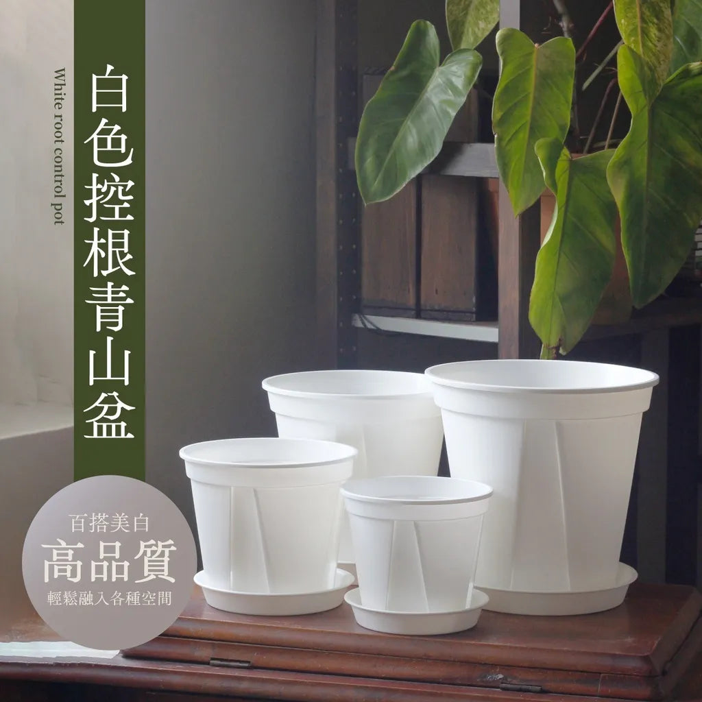 [Yonglv] Aoyama Slit Pot