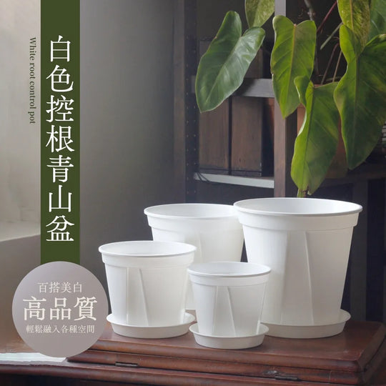 [Yonglv] Aoyama Slit Pot