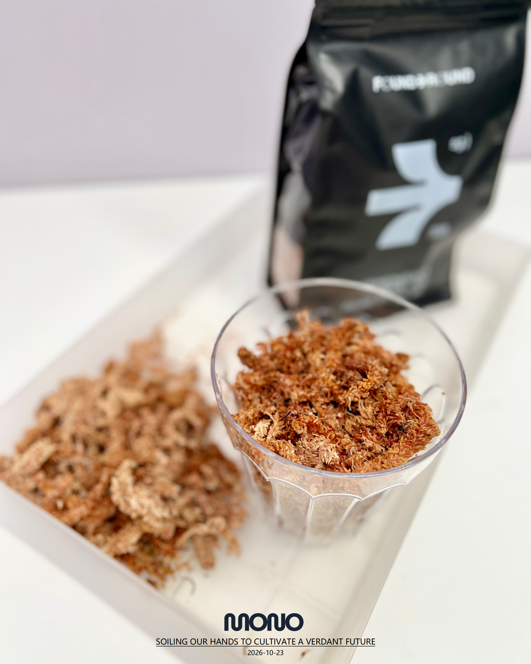 Premium Imported Danish 7-Star Sphagnum Moss【丹麦7星毛毛虫水苔】