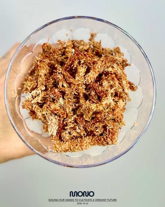 Premium Imported Danish 7-Star Sphagnum Moss【丹麦7星毛毛虫水苔】