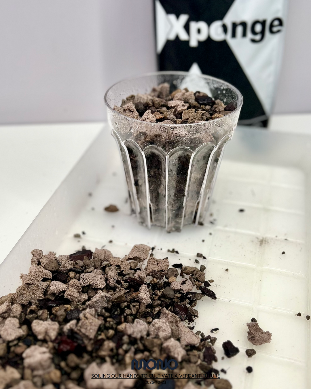 [Minijungle] Xponge Soilless Substrate【草木计划·Xponge松鳞款】