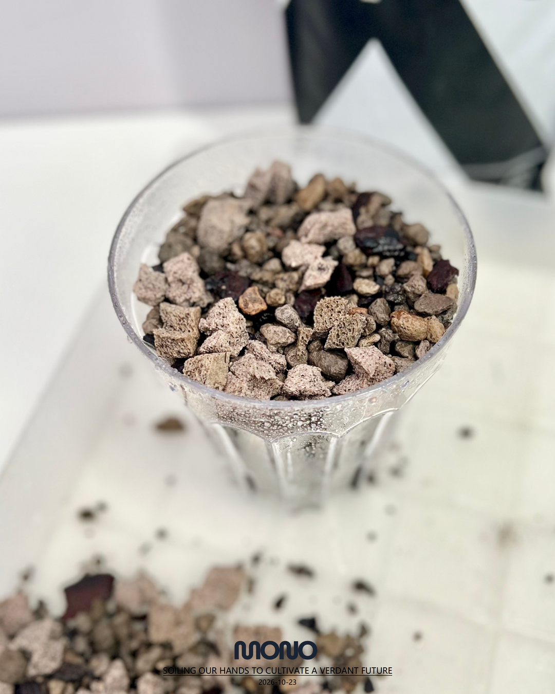 [Minijungle] Xponge Soilless Substrate【草木计划·Xponge松鳞款】