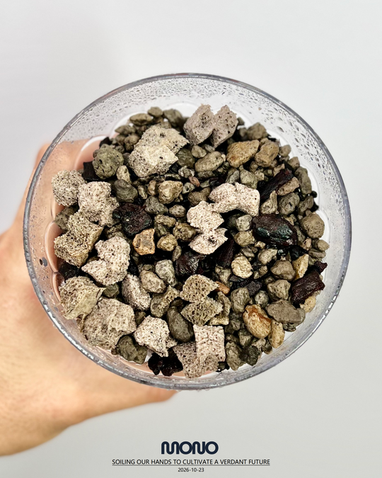 [Minijungle] Xponge Soilless Substrate【草木计划·Xponge松鳞款】