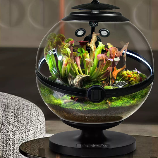 [Bioloark]  Desktop Smart Eco-Sphere【生物方舟·生态球系列】（Shipping Not Included）