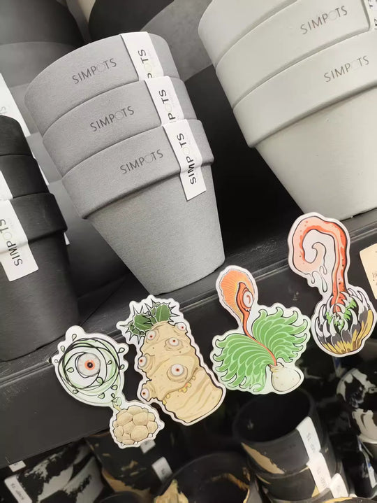 [Found&Round] [EARTHWEAR] "Caudex Monster" Artistic Magnet Series