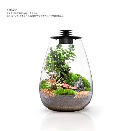 [Bioloark]  Desktop Bio-Bottle【生物方舟·生态瓶系列】