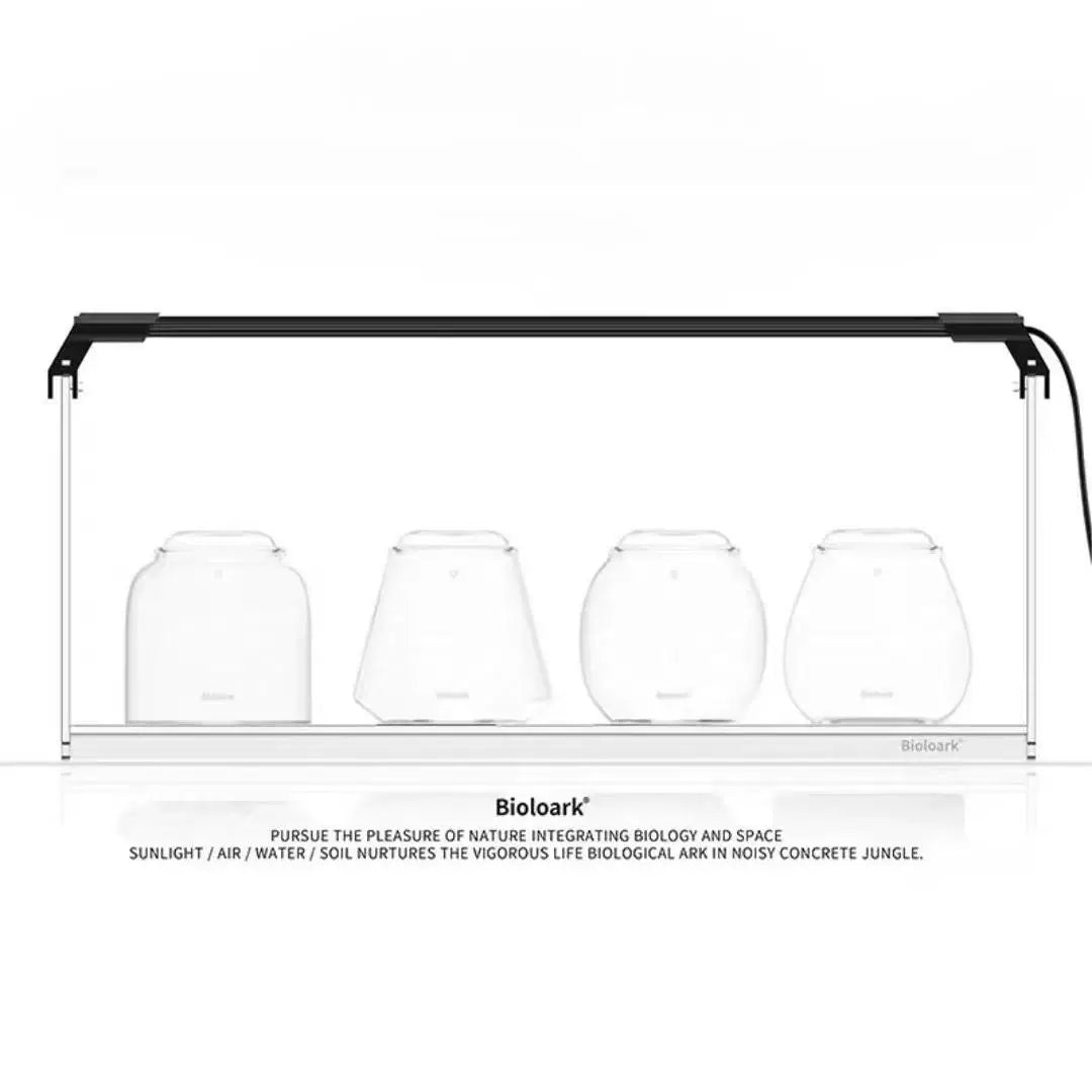 [Bioloark]  MINI Terrarium Series【生物方舟·泡泡杯系列】