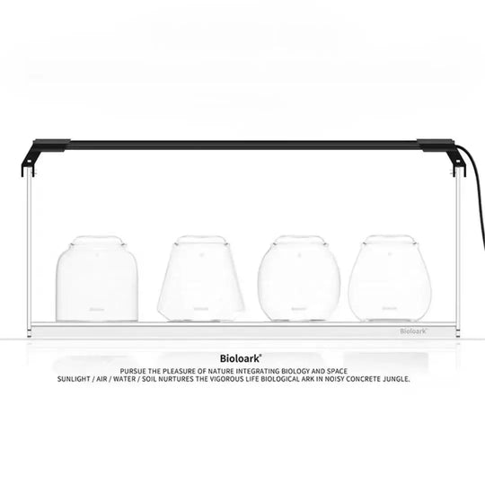 [Bioloark]  MINI Terrarium Series【生物方舟·泡泡杯系列】