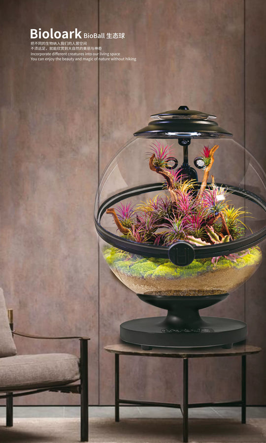 [Bioloark]  Desktop Smart Eco-Sphere【生物方舟·生态球系列】（Shipping Not Included）