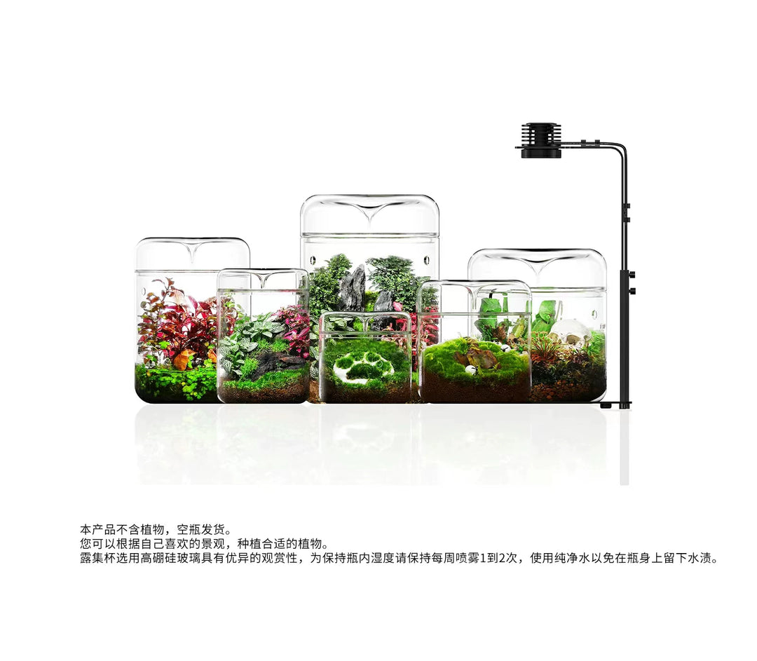 [Bioloark]  Eco-Terrarium Collection【生物方舟·露集杯系列】