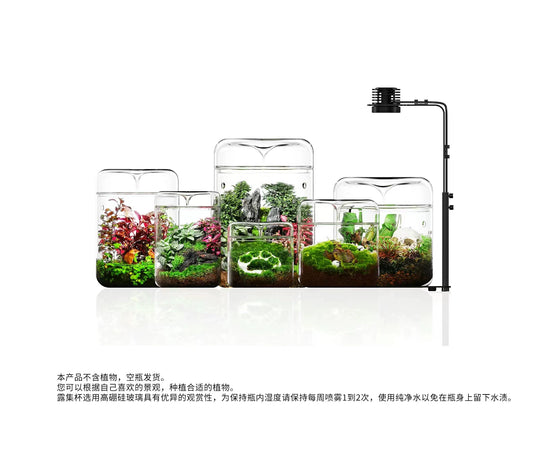 [Bioloark]  Eco-Terrarium Collection【生物方舟·露集杯系列】