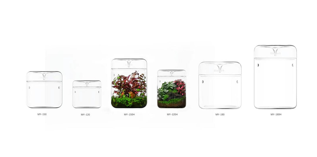 [Bioloark]  Eco-Terrarium Collection【生物方舟·露集杯系列】