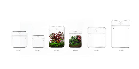 [Bioloark]  Eco-Terrarium Collection【生物方舟·露集杯系列】