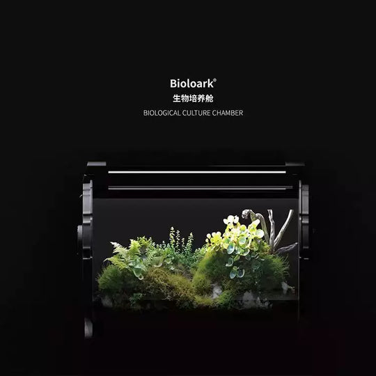 [Bioloark]  Desktop Bio-Capsule Terrarium【生物方舟·生态仓系列】（Shipping Not Included）
