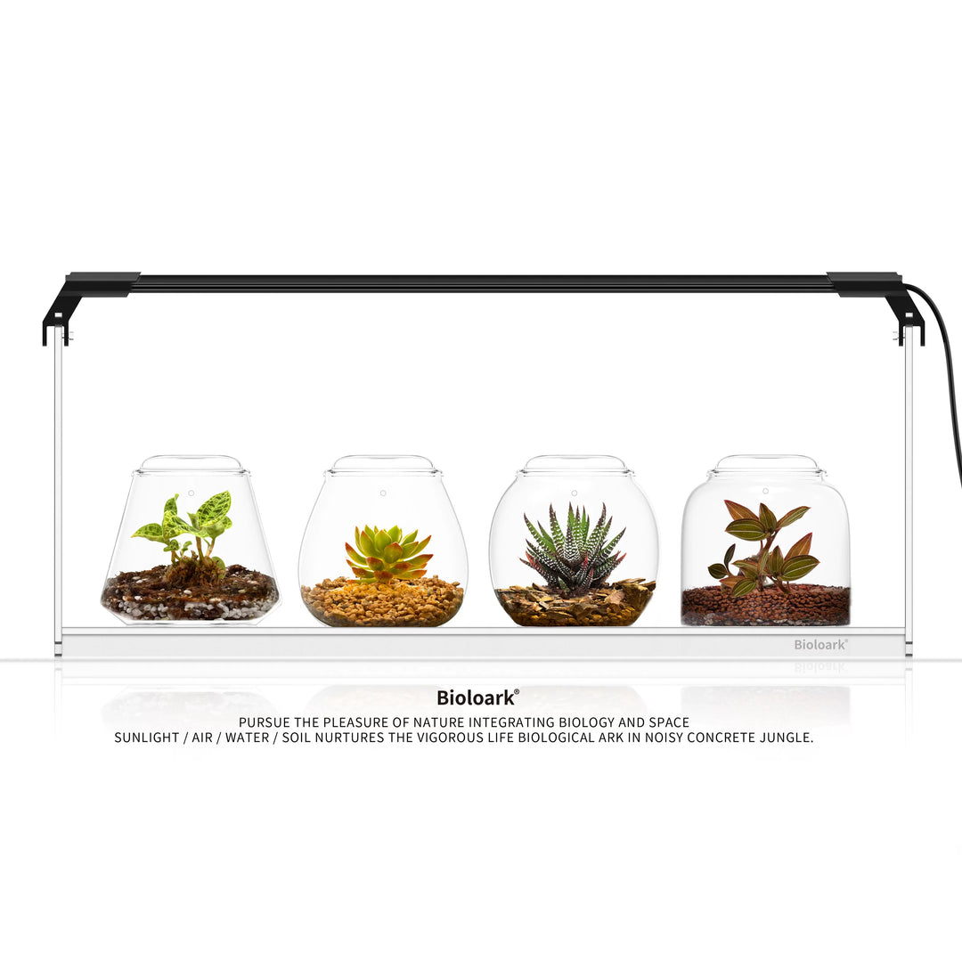 [Bioloark]  MINI Terrarium Series【生物方舟·泡泡杯系列】