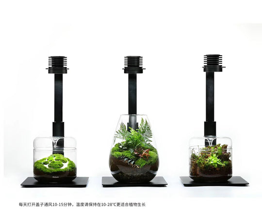 [Bioloark]  Eco-Terrarium Collection【生物方舟·露集杯系列】
