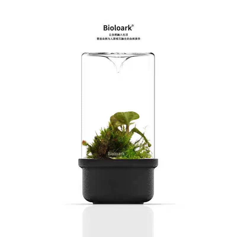 [Bioloark]  Eco-Terrarium Collection【生物方舟·露集杯系列】