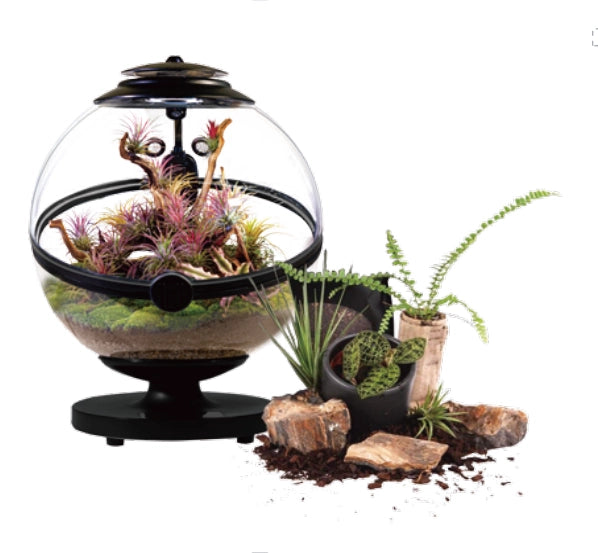 [Bioloark]  Desktop Smart Eco-Sphere【生物方舟·生态球系列】（Shipping Not Included）