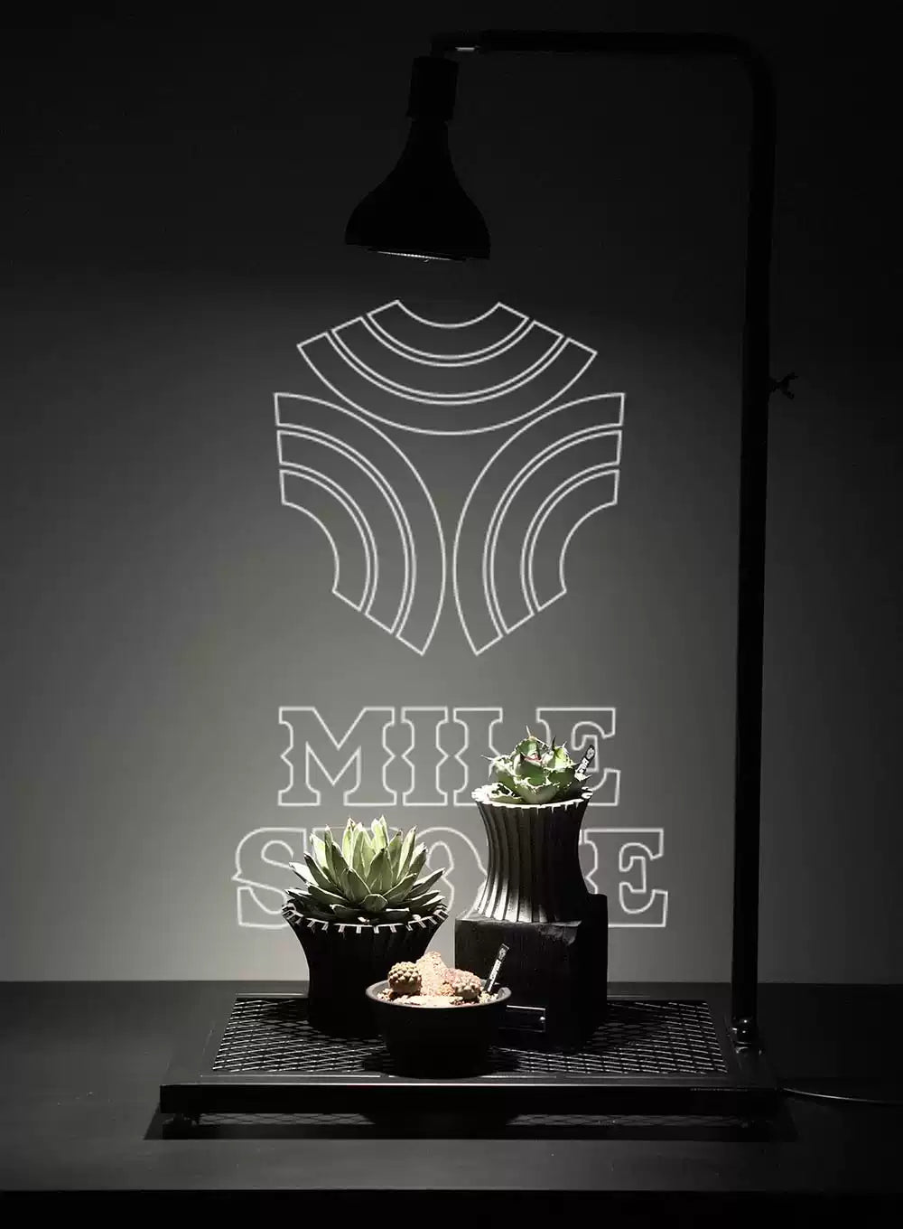 [PMS]Compact Desktop Plant Grow Stand【小号机上植物生长架】（Shipping Not Included）
