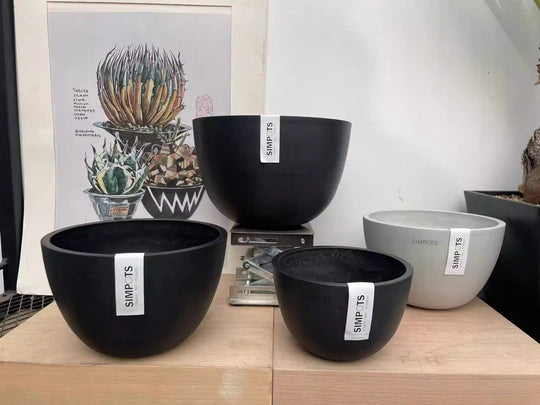 [Simpots] Bowl-Shaped Planter