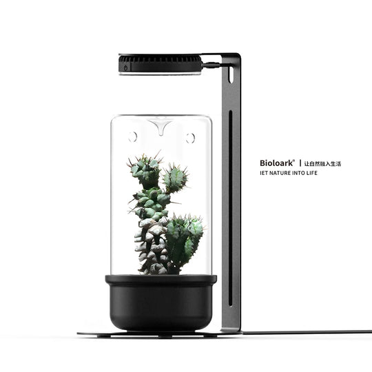 [Bioloark] Desktop Plant Grow Light Collection【生物方舟·生长灯系列】