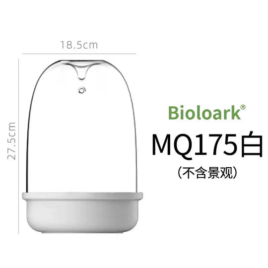 [Bioloark]  Eco-Terrarium Collection【生物方舟·露集杯系列】