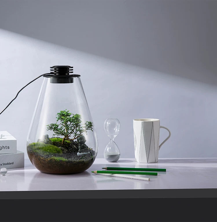[Bioloark]  Desktop Bio-Bottle【生物方舟·生态瓶系列】