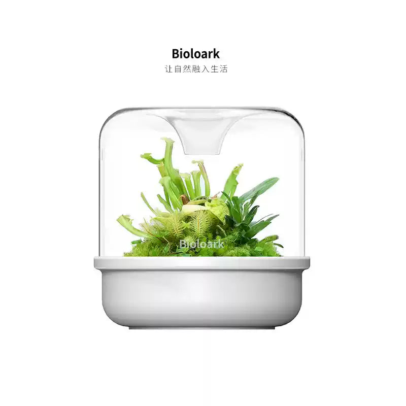 [Bioloark]  Eco-Terrarium Collection【生物方舟·露集杯系列】