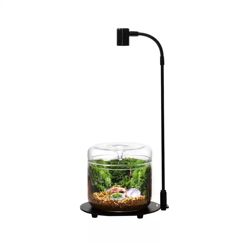 [Bioloark] Desktop Plant Grow Light Collection【生物方舟·生长灯系列】