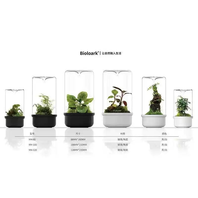[Bioloark]  Eco-Terrarium Collection【生物方舟·露集杯系列】