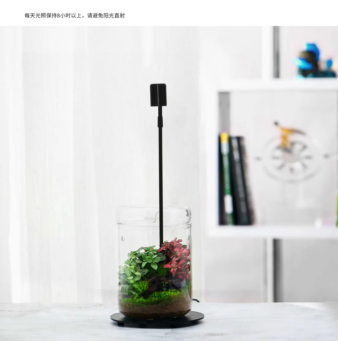 [Bioloark]  Eco-Terrarium Collection【生物方舟·露集杯系列】