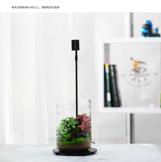 [Bioloark]  Eco-Terrarium Collection【生物方舟·露集杯系列】