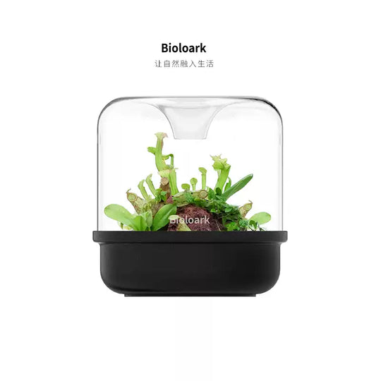 [Bioloark]  Eco-Terrarium Collection【生物方舟·露集杯系列】