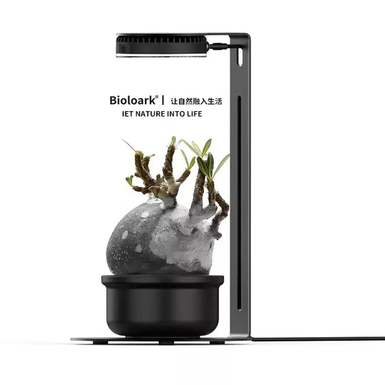 [Bioloark] Desktop Plant Grow Light Collection【生物方舟·生长灯系列】