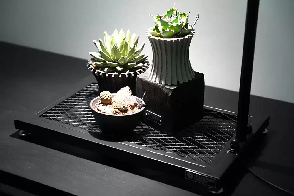 [PMS]Compact Desktop Plant Grow Stand【小号机上植物生长架】（Shipping Not Included）