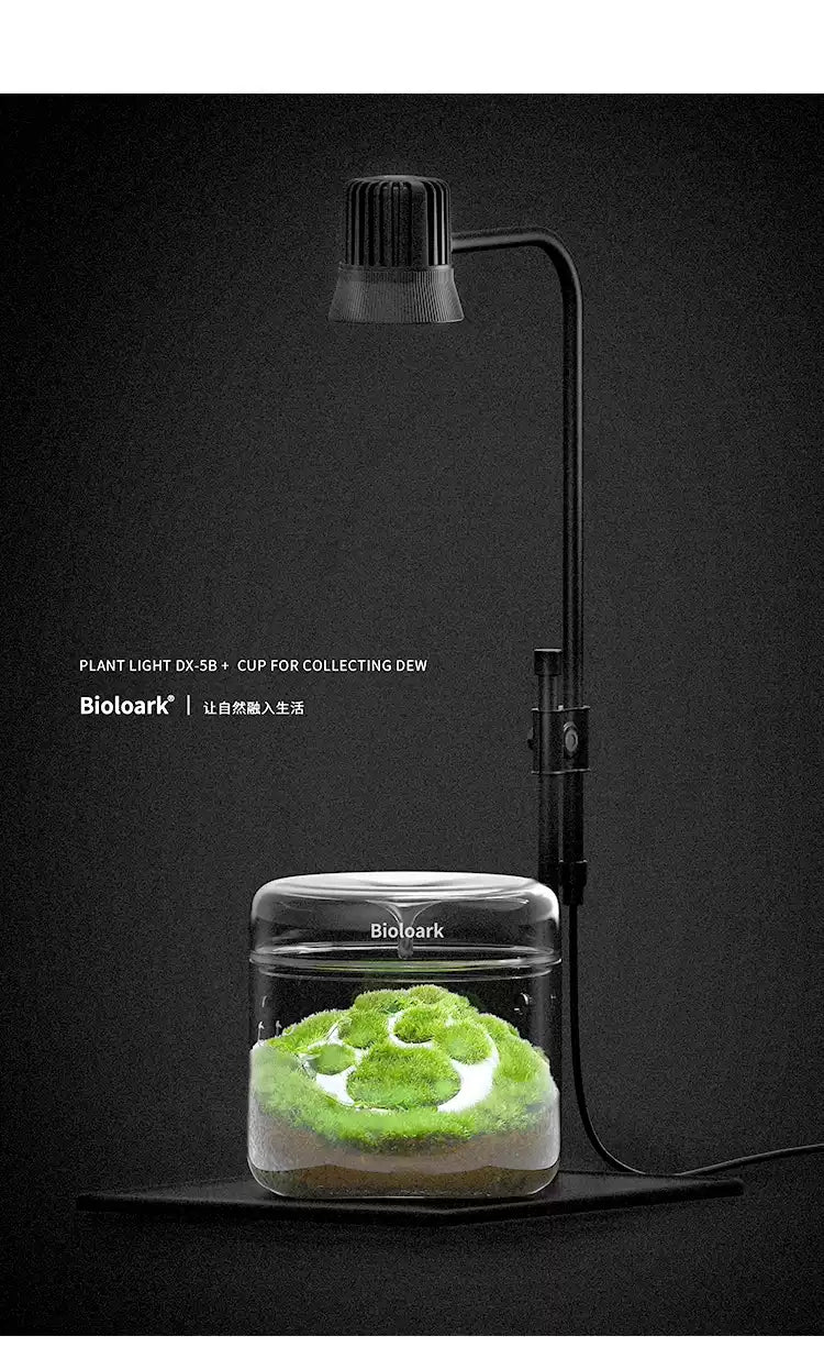 [Bioloark] Desktop Plant Grow Light Collection【生物方舟·生长灯系列】