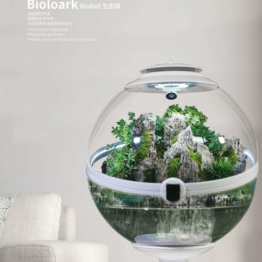 [Bioloark]  Desktop Smart Eco-Sphere【生物方舟·生态球系列】（Shipping Not Included）