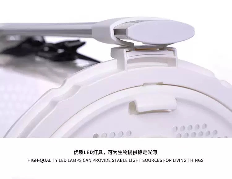 [Bioloark]  Desktop Bio-Capsule Terrarium【生物方舟·生态仓系列】（Shipping Not Included）