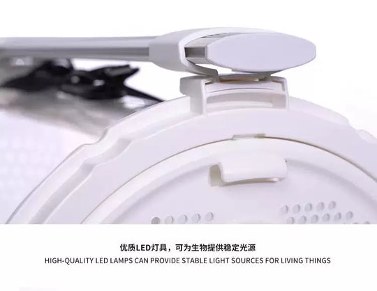 [Bioloark]  Desktop Bio-Capsule Terrarium【生物方舟·生态仓系列】（Shipping Not Included）