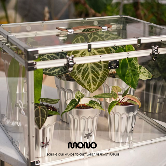 [MONO] Mini Greenhouse【PET闷养箱】