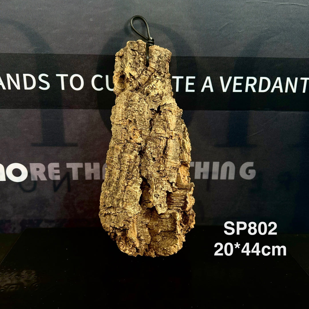 [MONO] Premium Spanish Champagne Cork Bark