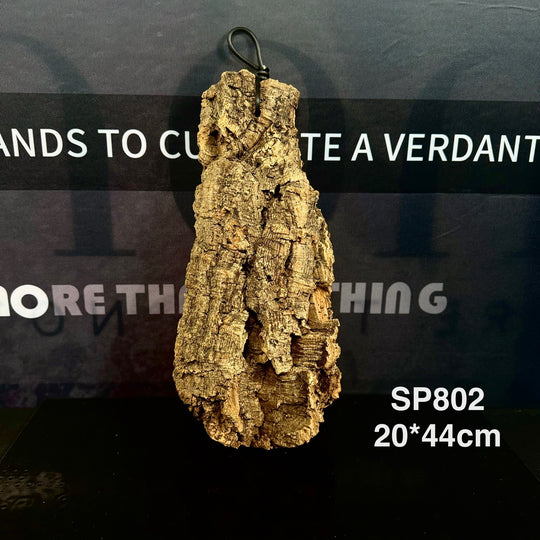 [MONO] Premium Spanish Champagne Cork Bark
