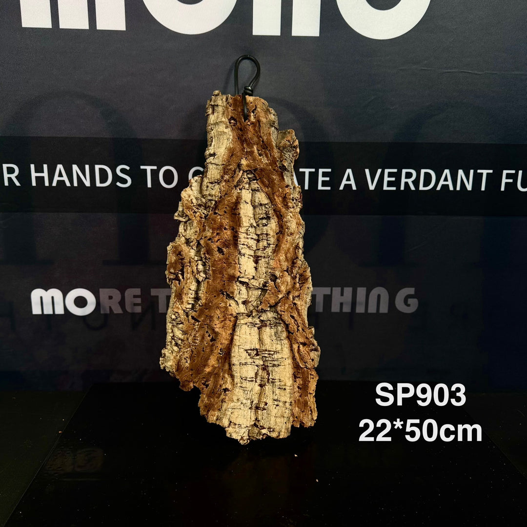 [MONO] Premium Spanish Champagne Cork Bark