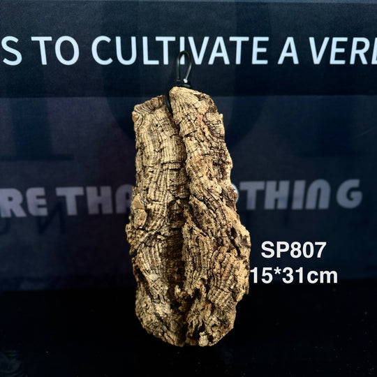 [MONO] Premium Spanish Champagne Cork Bark
