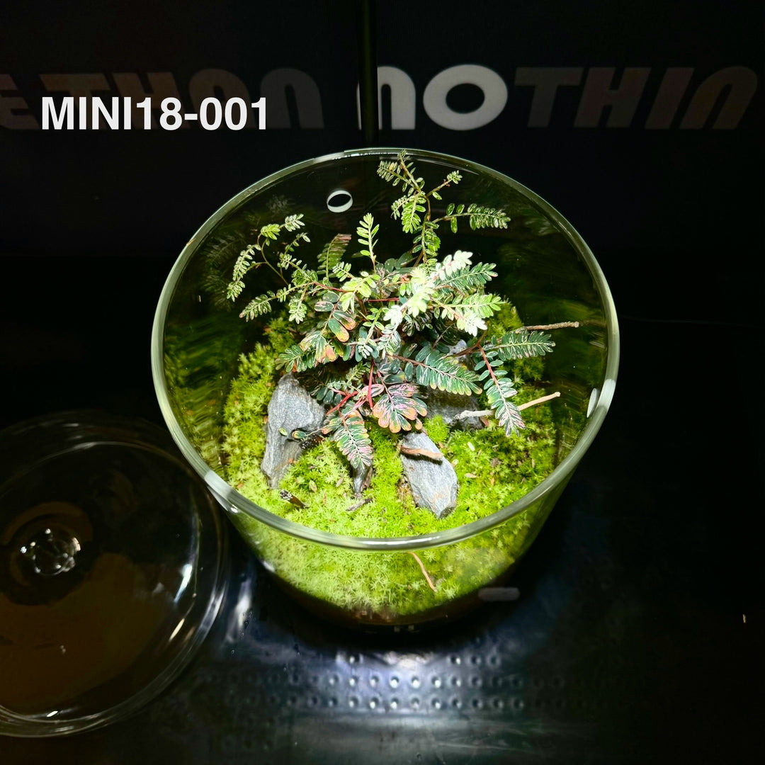[Mono]Mini LJB18Tall-001 (Toronto Local Only)